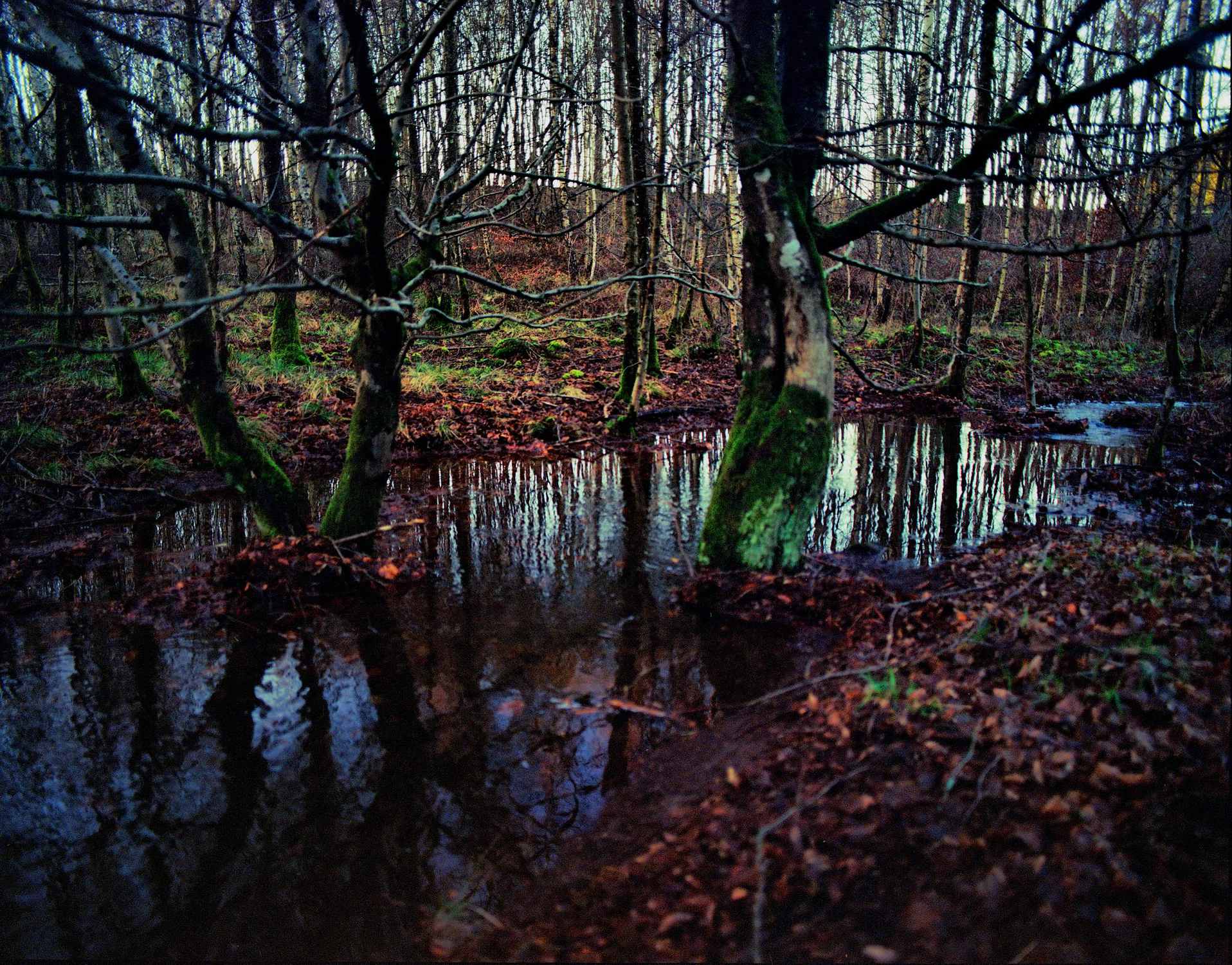 2018 01 18 Pentax 6x7  04